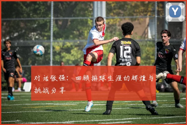 对话张强：回顾排球生涯的辉煌与挑战分享