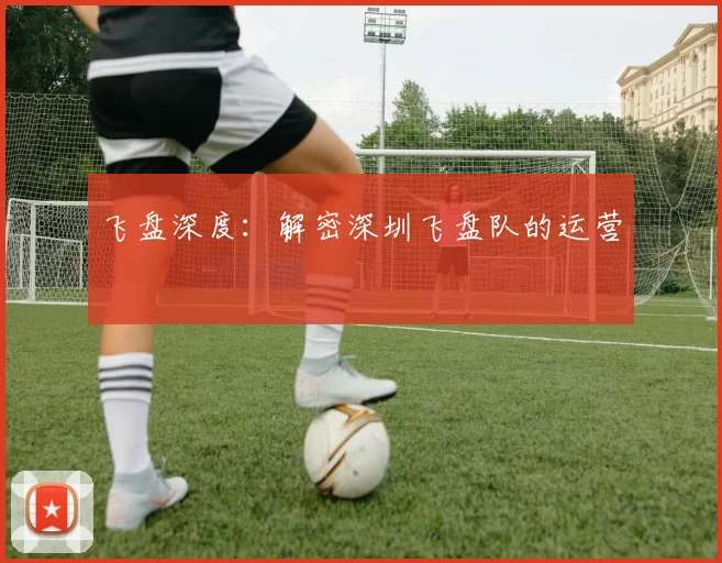 飞盘深度：解密深圳飞盘队的运营