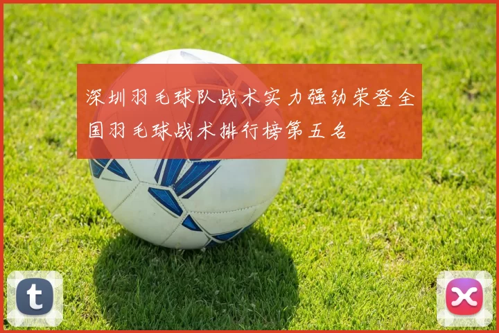 深圳羽毛球队战术实力强劲荣登全国羽毛球战术排行榜第五名