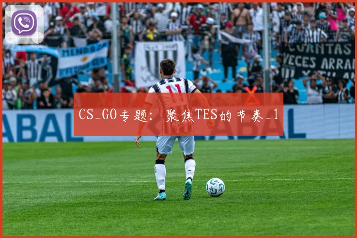 CS_GO专题：聚焦TES的节奏_1