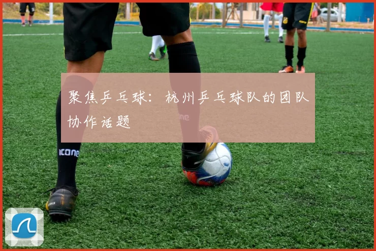 聚焦乒乓球：杭州乒乓球队的团队协作话题